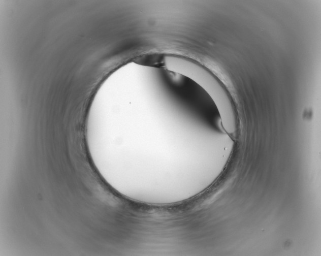 X0000090500481200708102244