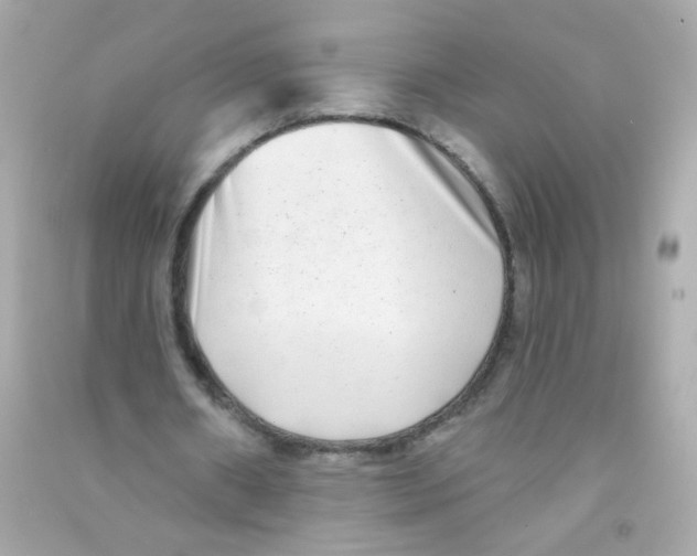 X0000090500482200708102244