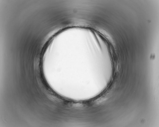 X0000090500483200708102244