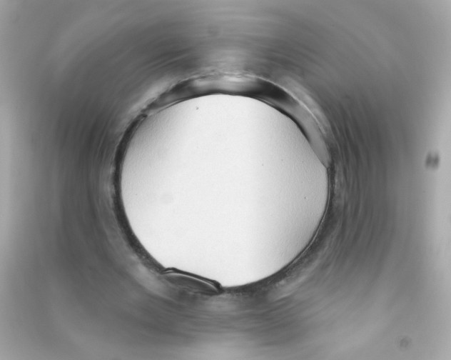 X0000090500485200708102244