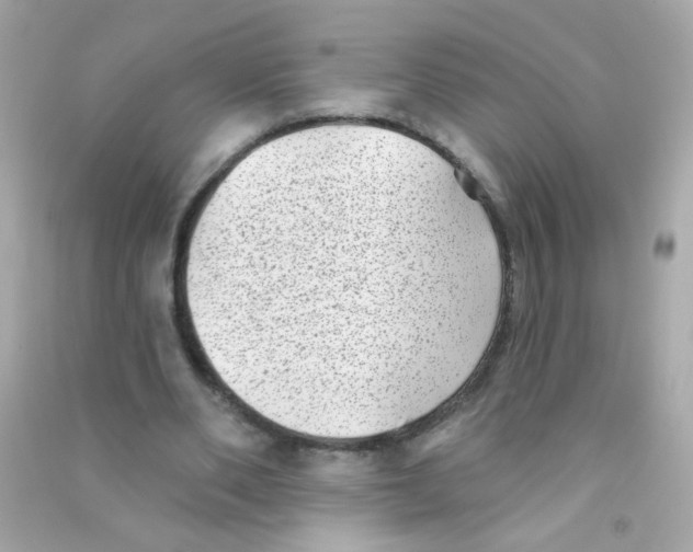 X0000090500486200708102244