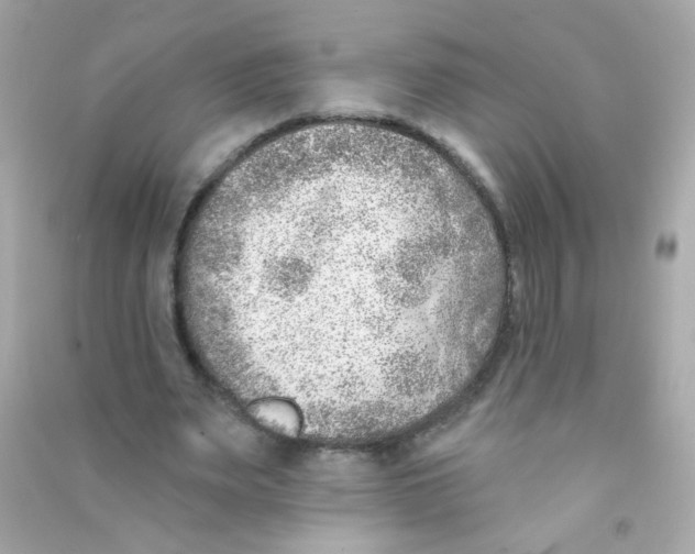 X0000090500487200708102244