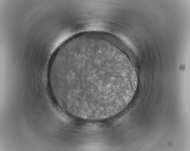 X0000090500488200708102244