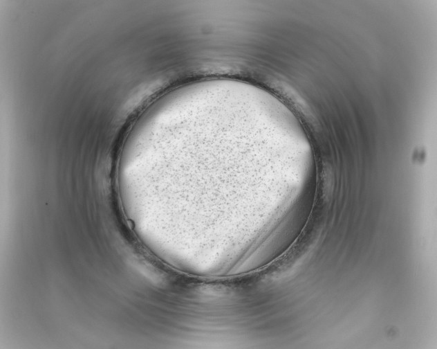 X0000090500490200708102244