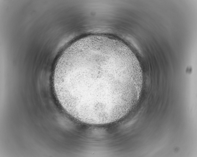 X0000090500491200708102244