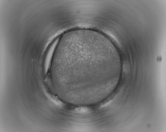 X0000090500492200708102244