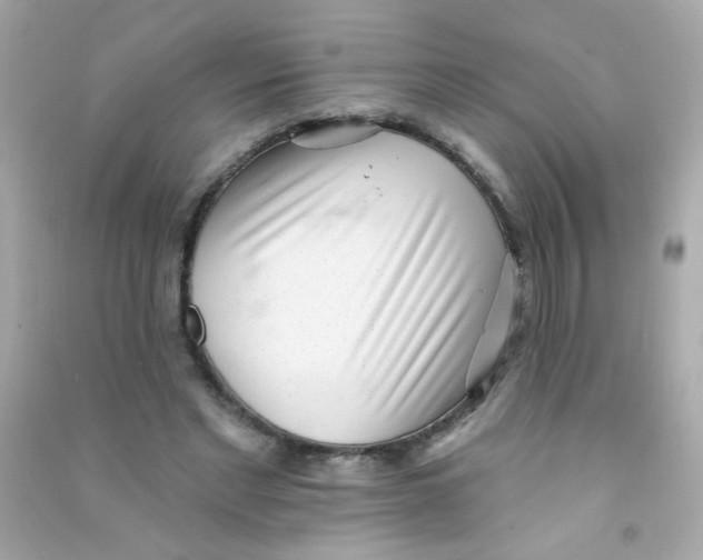 X0000090500493200708102244