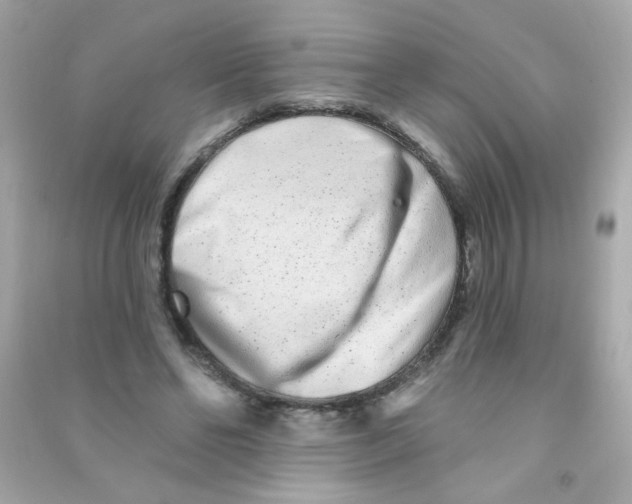 X0000090500494200708102244