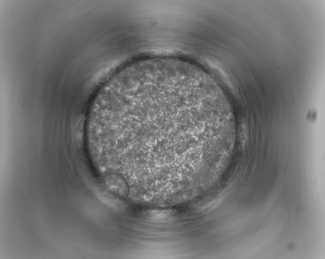 X0000090500495200708102244