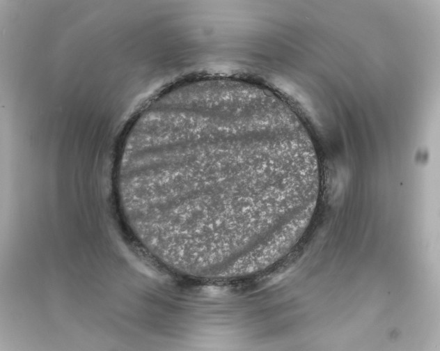 X0000090500496200708102244