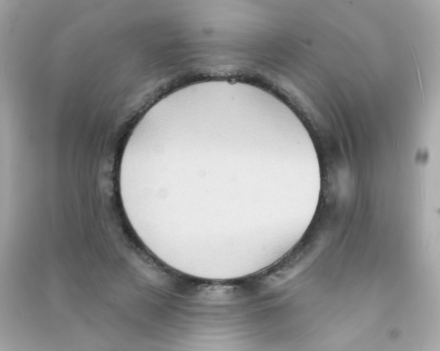 X0000090500497200708102244