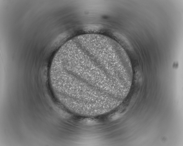 X0000090500498200708102244