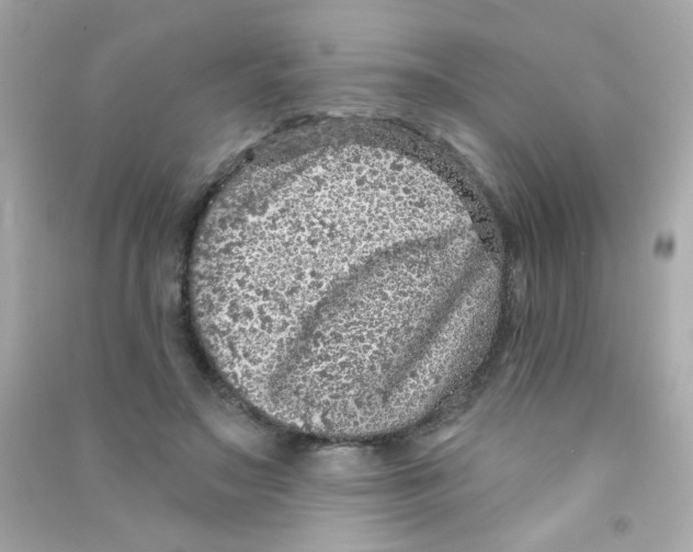 X0000090500499200708102244