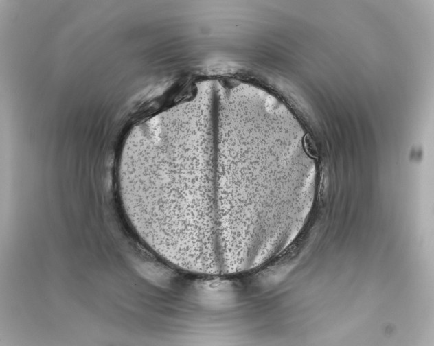 X0000090500501200708102244