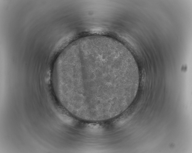X0000090500502200708102244