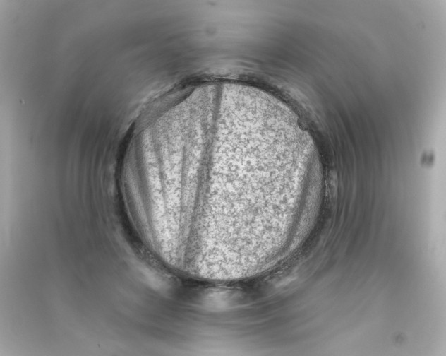 X0000090500504200708102244