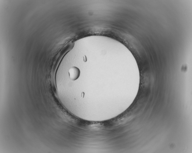 X0000090500505200708102244