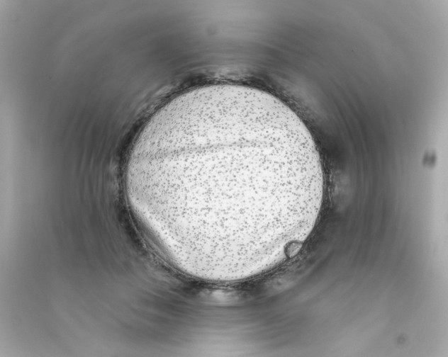 X0000090500506200708102244