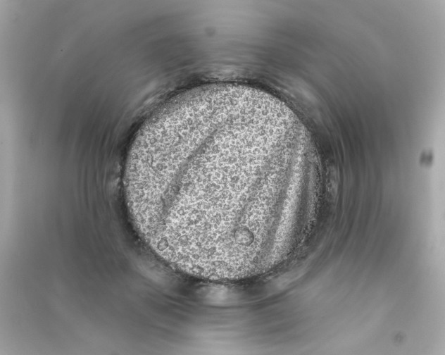 X0000090500507200708102244