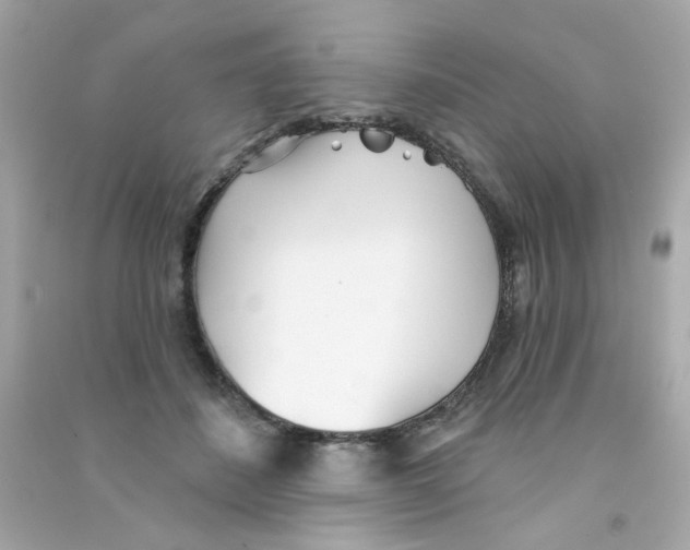 X0000090500508200708102244