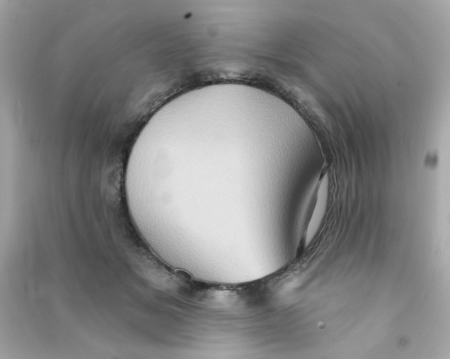 X0000090500509200708102244