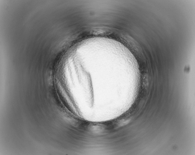 X0000090500510200708102244