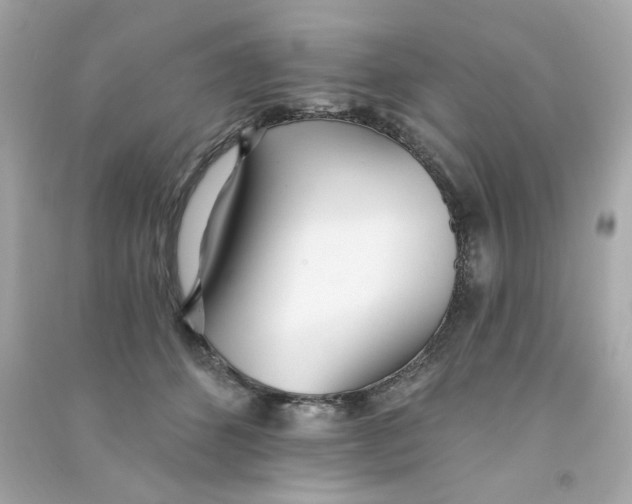 X0000090500512200708102244