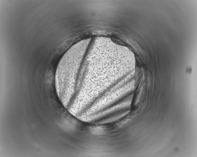 X0000090500513200708102244