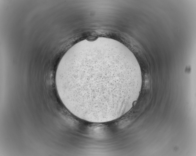 X0000090500514200708102244