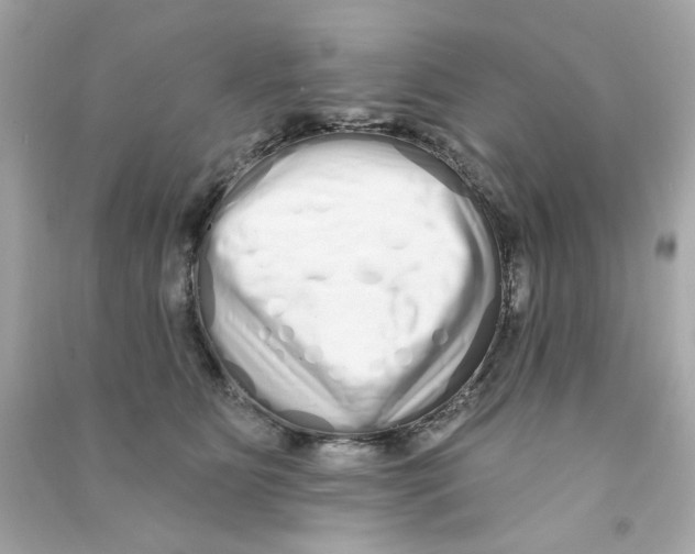 X0000090500515200708102244