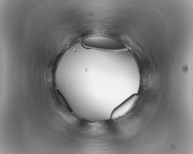 X0000090500516200708102244