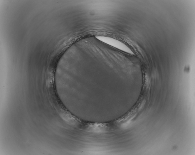 X0000090500517200708102244
