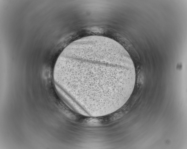 X0000090500518200708102244