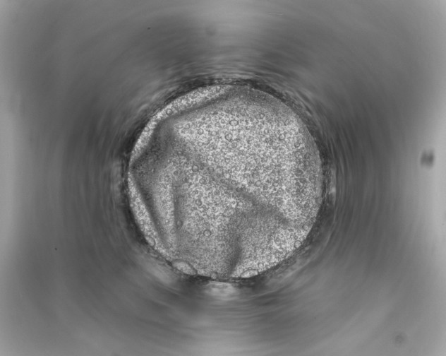 X0000090500519200708102243