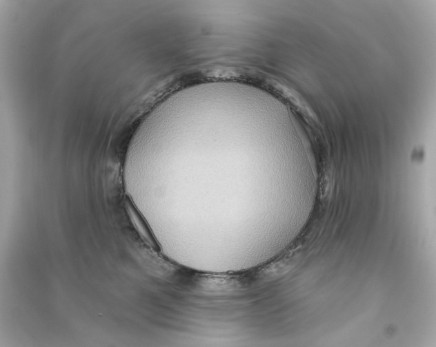 X0000090500521200708102243