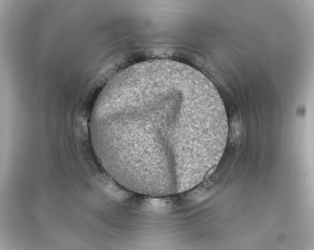 X0000090500522200708102243