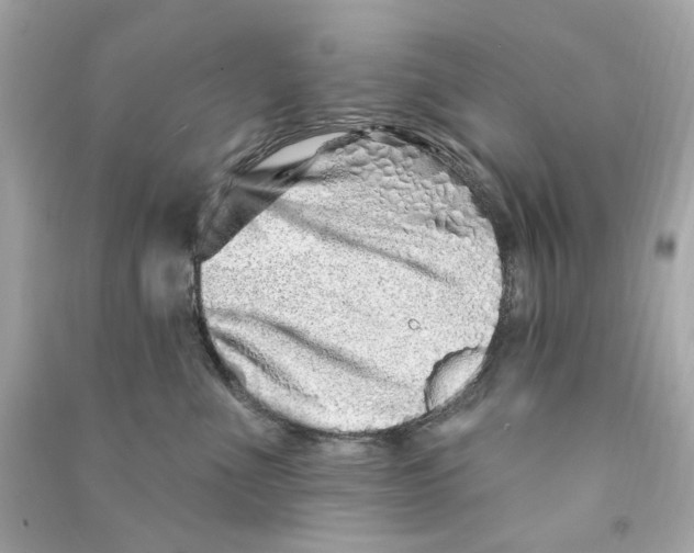 X0000090500523200708102243