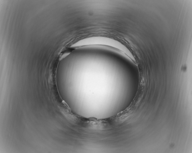 X0000090500524200708102243