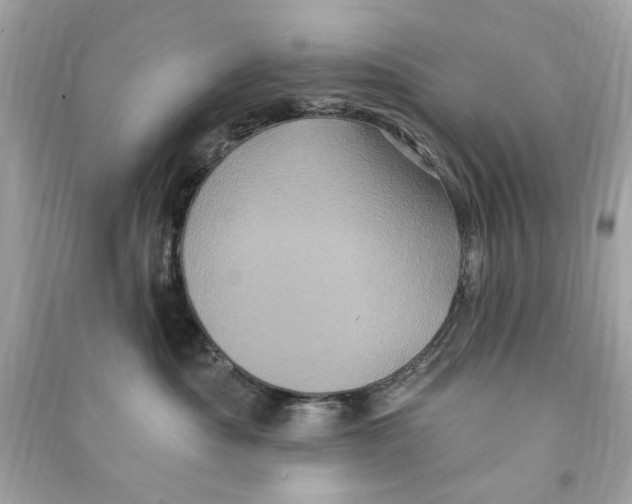 X0000090500525200708102243