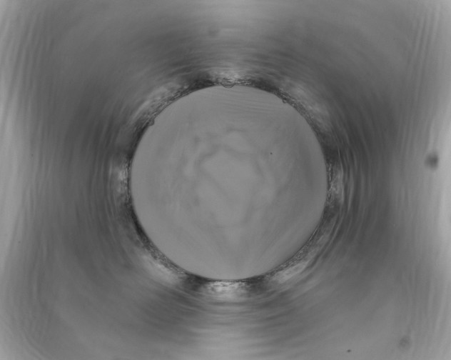 X0000090500526200708102243