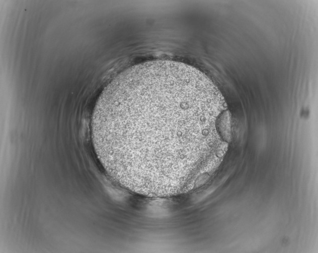 X0000090500527200708102243