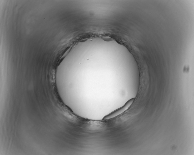 X0000090500528200708102243