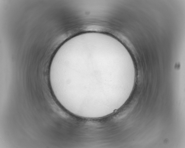 X0000090500529200708102243