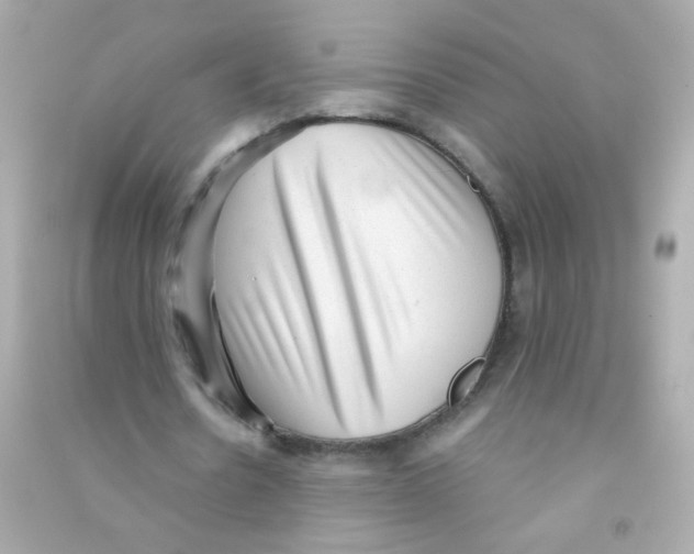X0000090500530200708102243