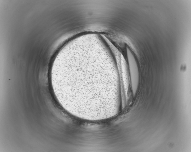 X0000090500531200708102243