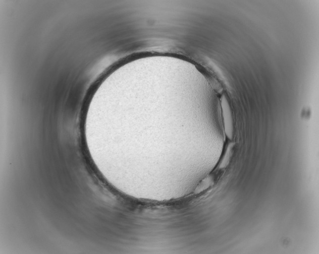 X0000090500532200708102243