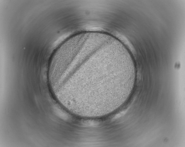 X0000090500533200708102243