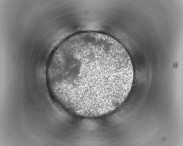 X0000090500534200708102243