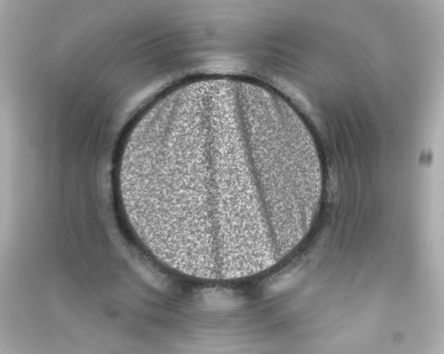 X0000090500535200708102243