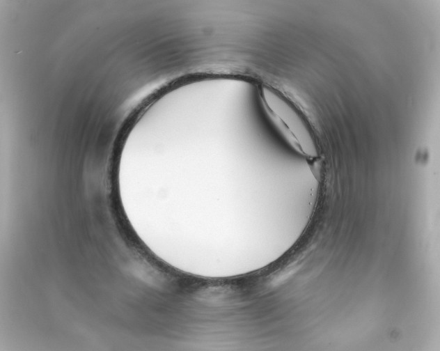 X0000090500536200708102243